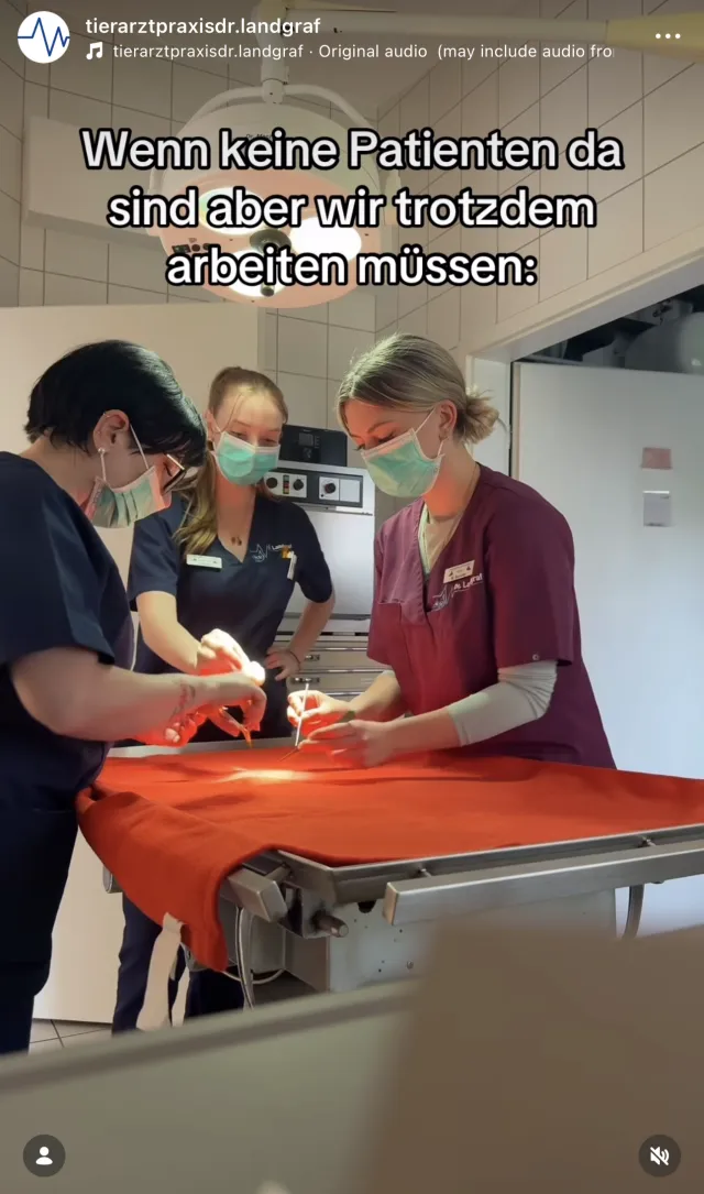 Arbeiten in der Tierarztpraxis