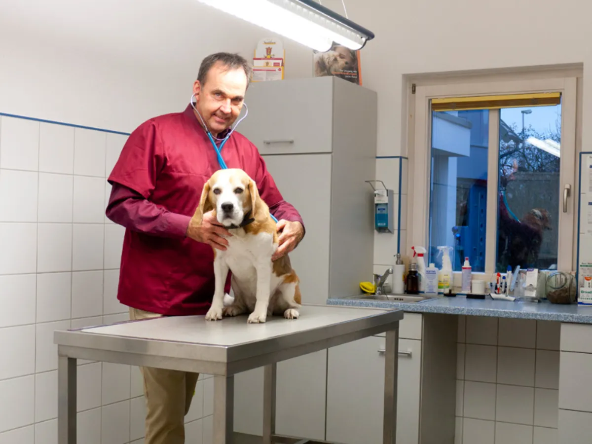 Vorsorgeuntersuchung in der Tierarztpraxis Dr. Landgraf