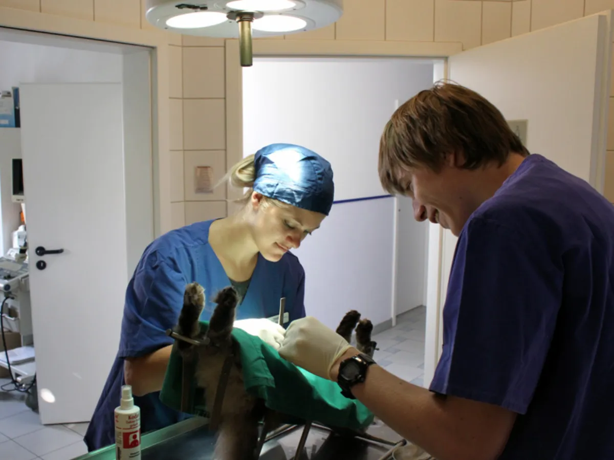 Operationsraum der Tierarztpraxis Dr. Landgraf in Ansbach